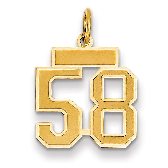 Number 58 Charm 14k Gold Small Satin LSS58