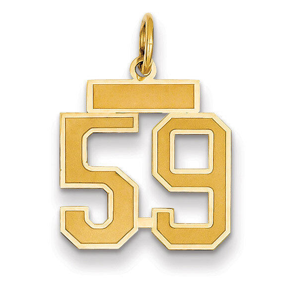 Number 59 Charm 14k Gold Small Satin LSS59
