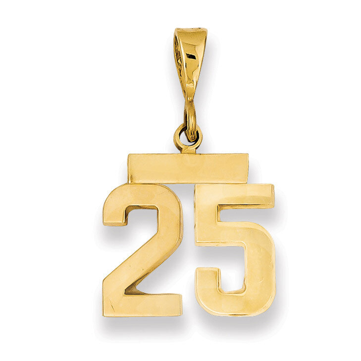 Number 25 Charm 14k Gold Small Polished SP25, MPN: SP25, 883957140872