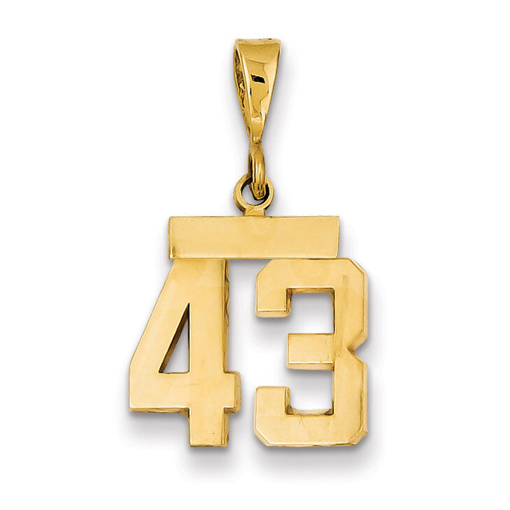 Number 43 Charm 14k Gold Small Polished SP43, MPN: SP43, 883957141206