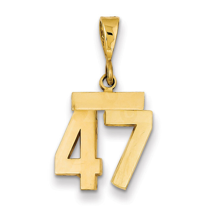 Number 47 Charm 14k Gold Small Polished SP47, MPN: SP47, 883957141244