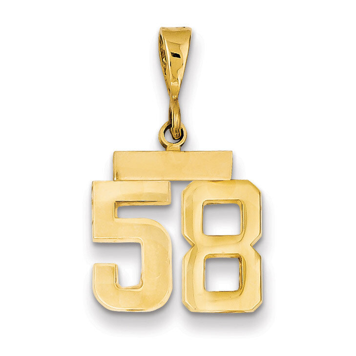 Number 58 Charm 14k Gold Small Polished SP58, MPN: SP58, 883957141350