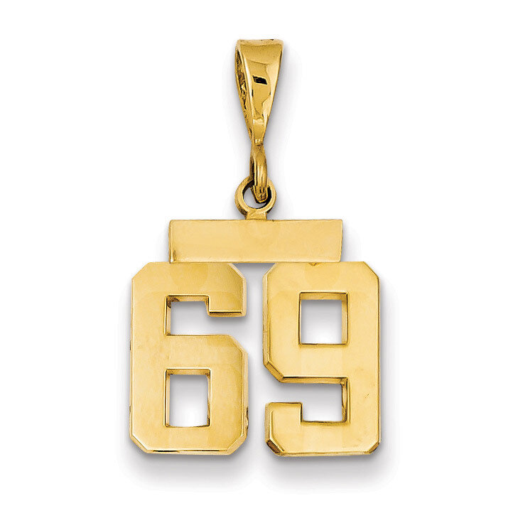 Number 69 Charm 14k Gold Small Polished SP69, MPN: SP69, 883957143750