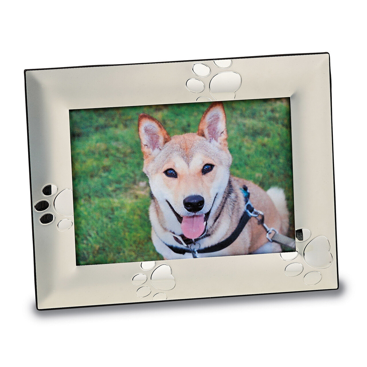 Aluminum Puppy Paw Prints 5 x 7 Inch Photo Picture Frame GM14683