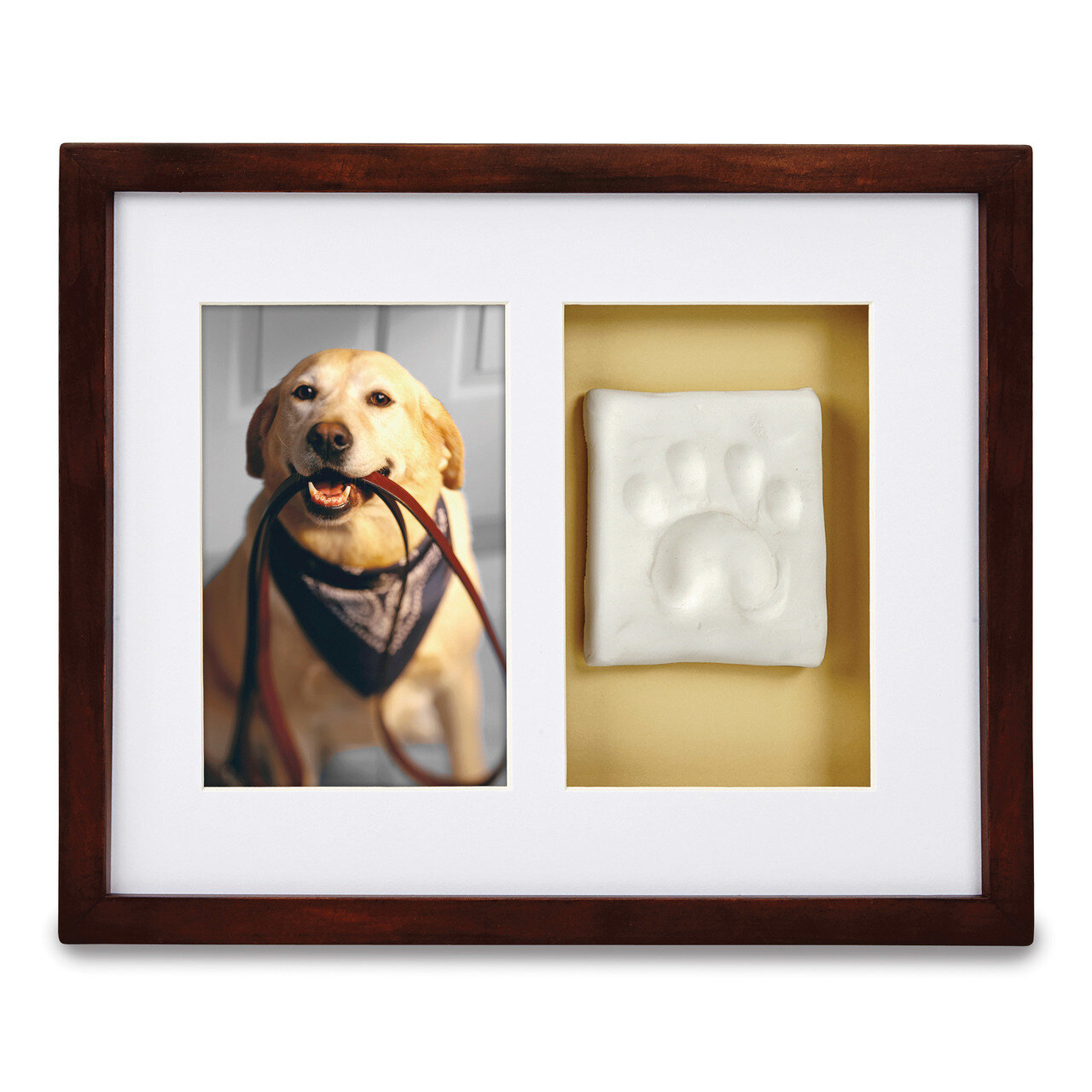 Espresso Pawprints Wall Picture Frame GM15724