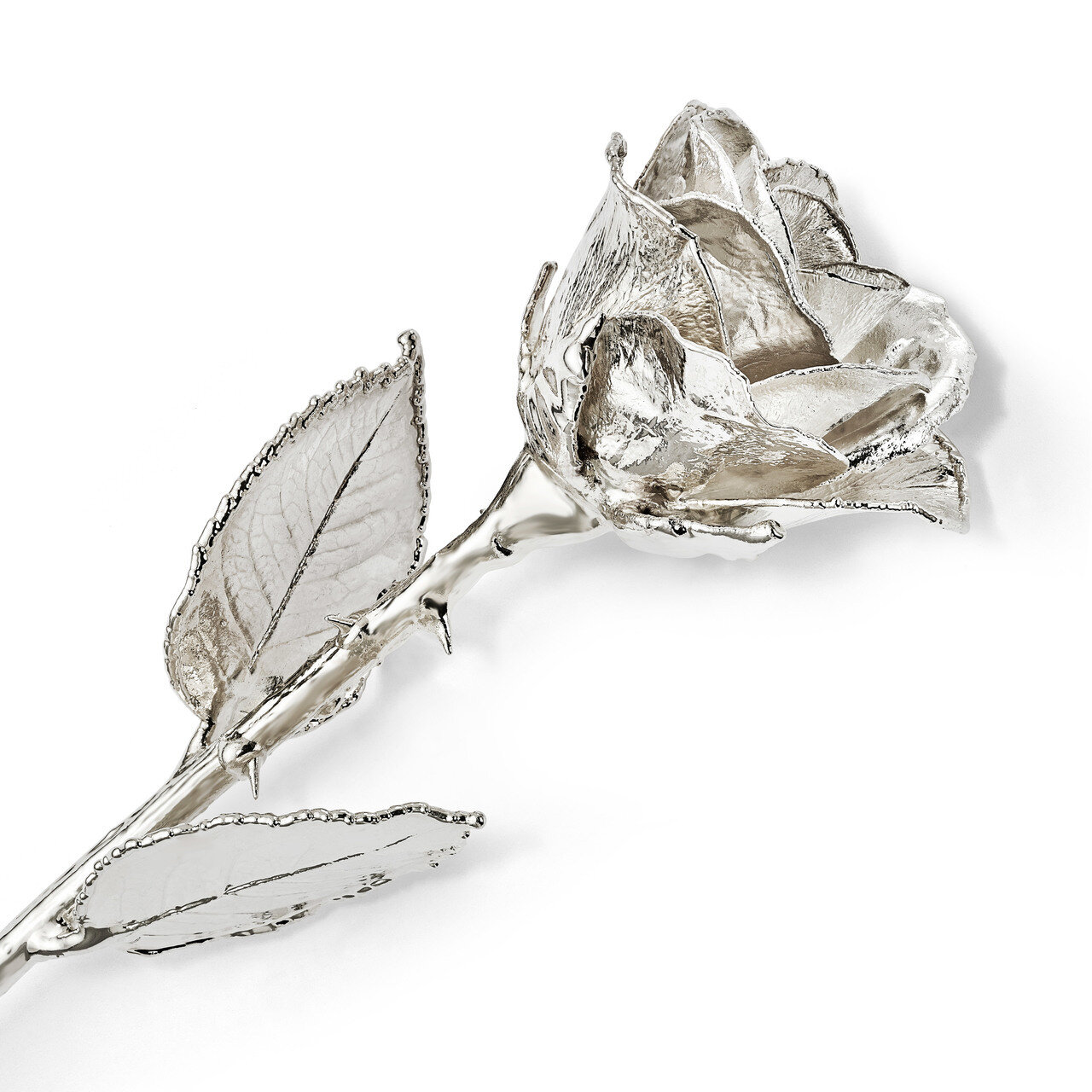 Silver Dipped Rose GM16747