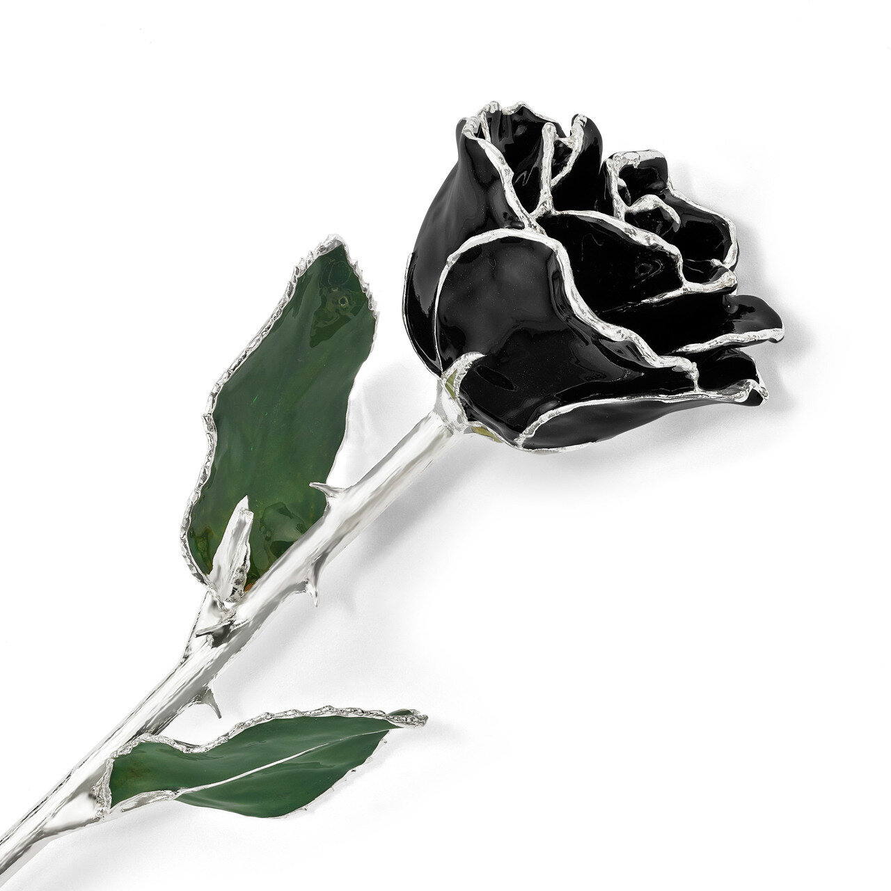 Lacquer Dipped Silver Trim Black Rose GM16750