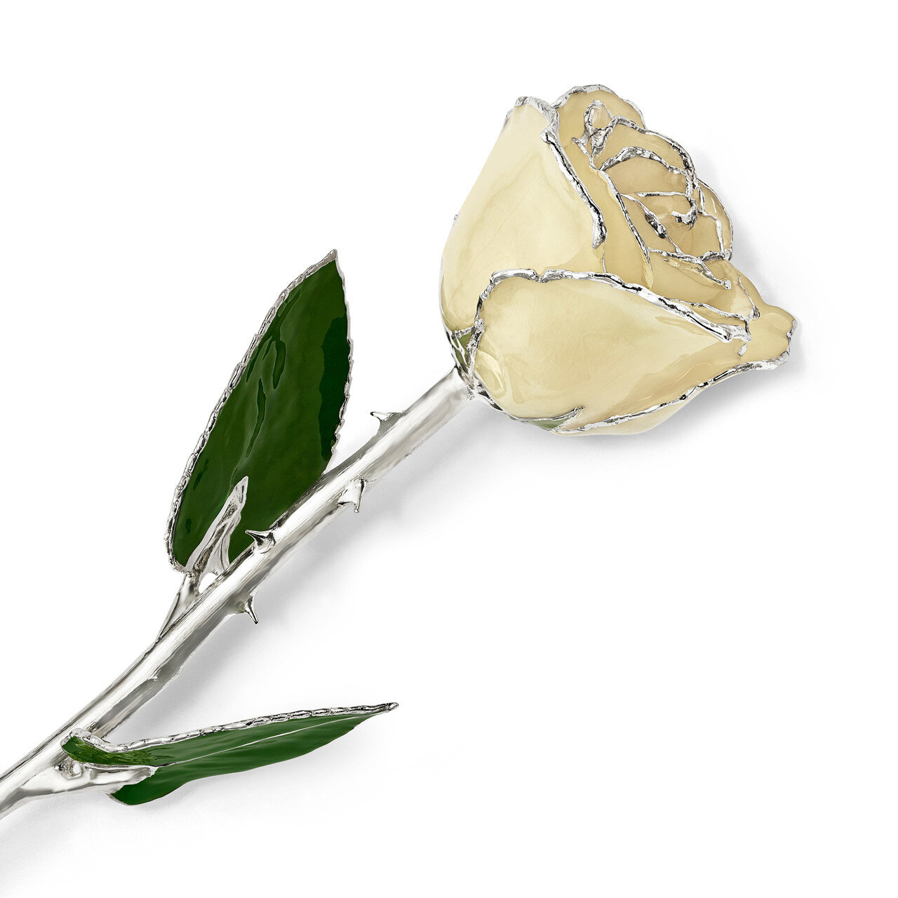 Lacquer Dipped Silver Trimmed White Rose GM16744, MPN: GM16744, 812465021434