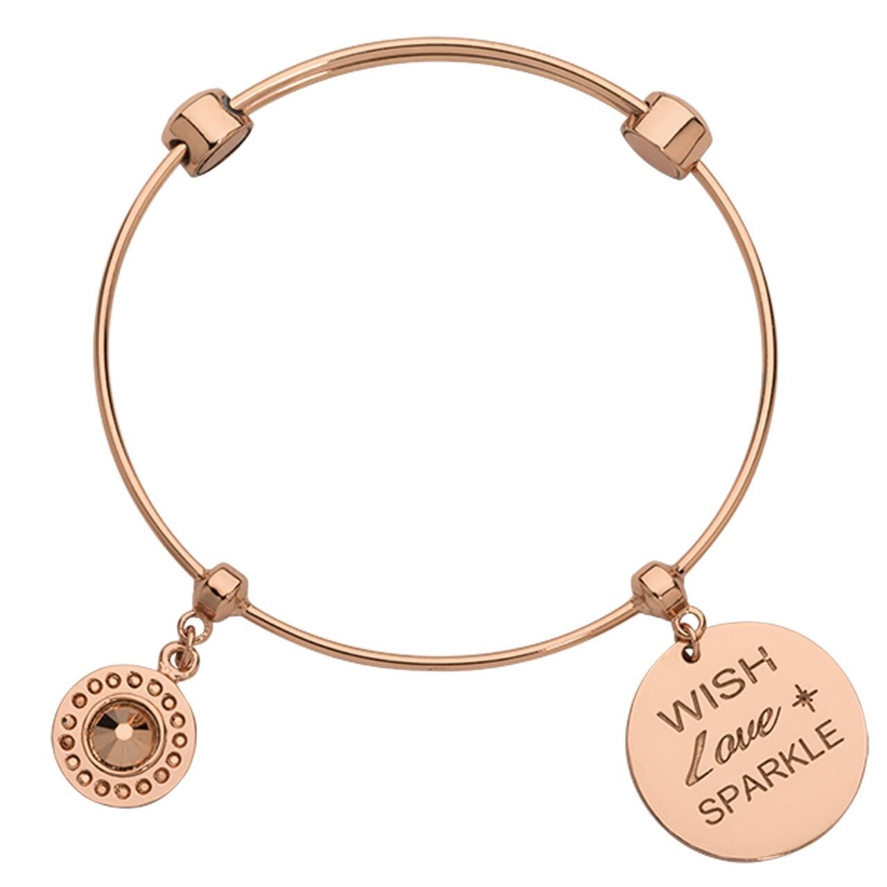 Nikki Lissoni Charm Bangle with Two Fixed Charms Rose Wish Love Sparkle Rose Gold-plated 19cm B1142RG19