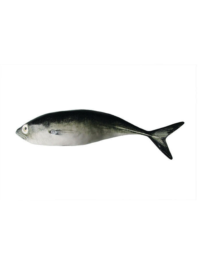 Bordallo Pinheiro Pinheiro Fish and Shellfish Jack Mackerel Decorated 65021769, MPN: 65021769, 5600…
