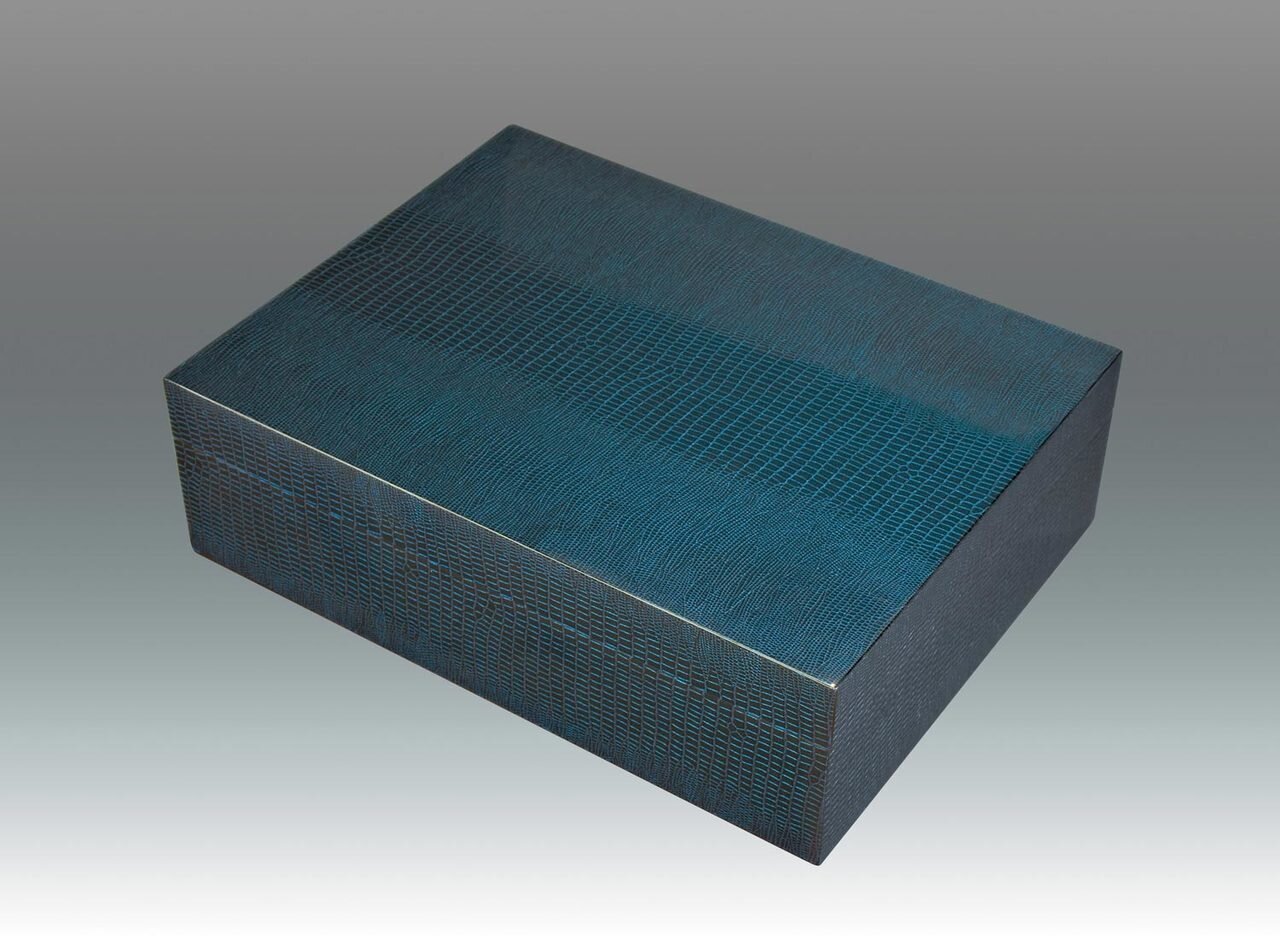 Tizo Iguana Style Blue Box