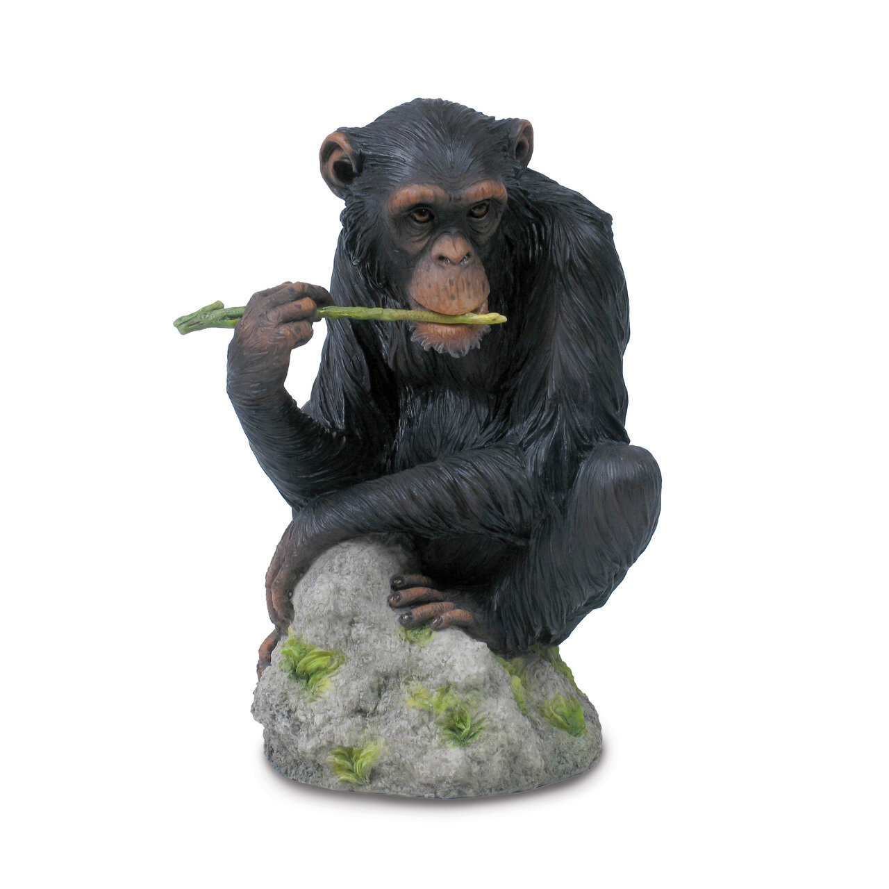 Chimpanzee Chewing Branch Sculpture GM17171