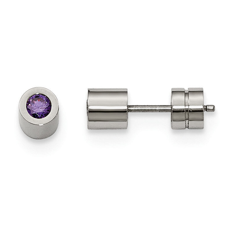 CZ Feb Birthstone Polished Post Earrings Stainless Steel SRE996 by Chisel, MPN: SRE996, 191101645006