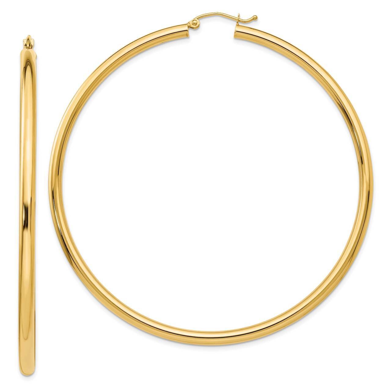 Hoop Earrings 14k Gold TF552