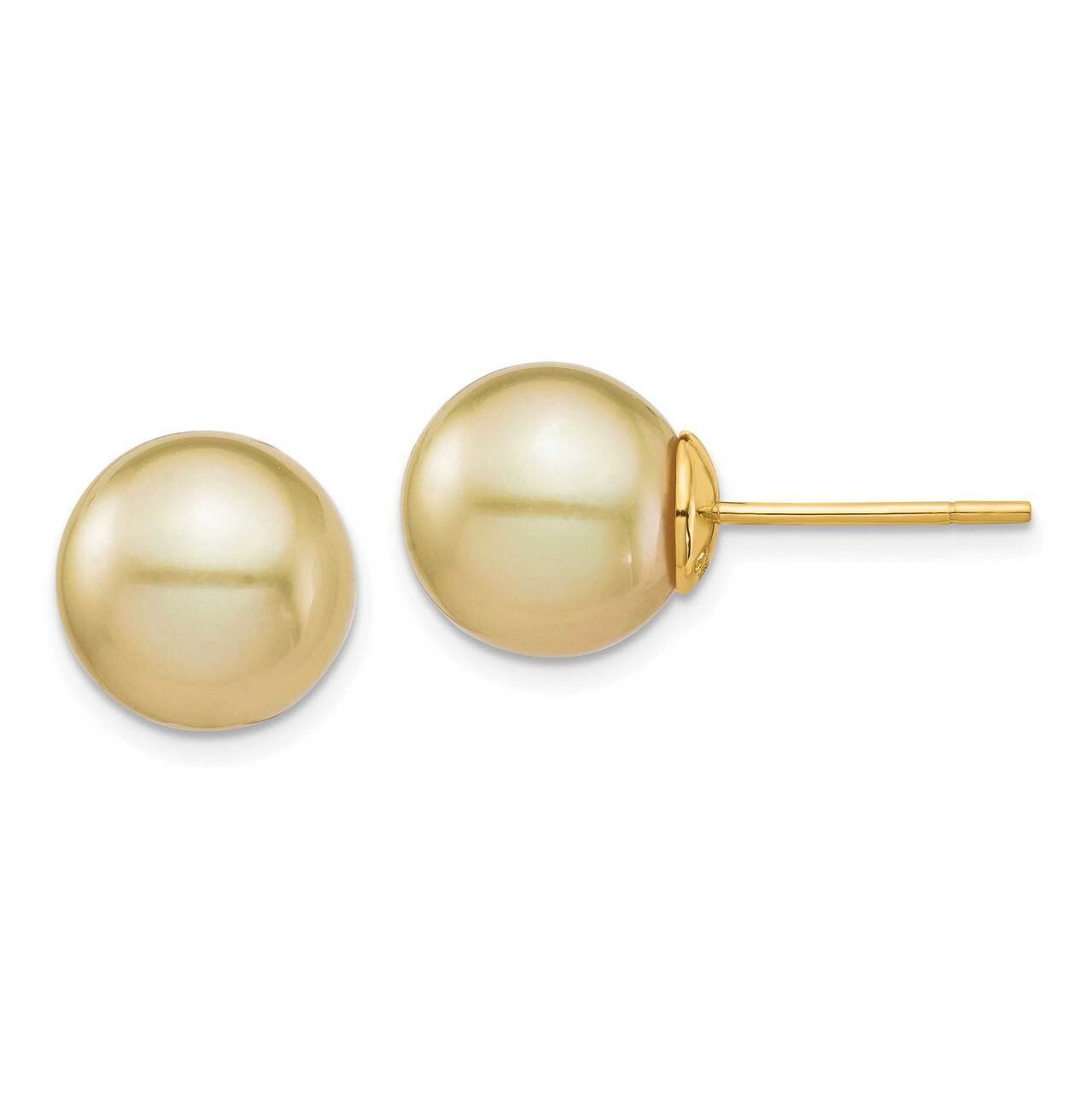 10-11mm Golden Round Saltwater Cultured South Sea Pearl Post Earrings 14k Gold XF743E