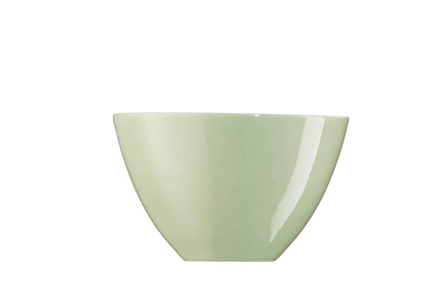 Arzberg Profi Willow Large Serving Bowl 10 1/4 in, MPN: 49600-670201-13326, UPC: 790956000000