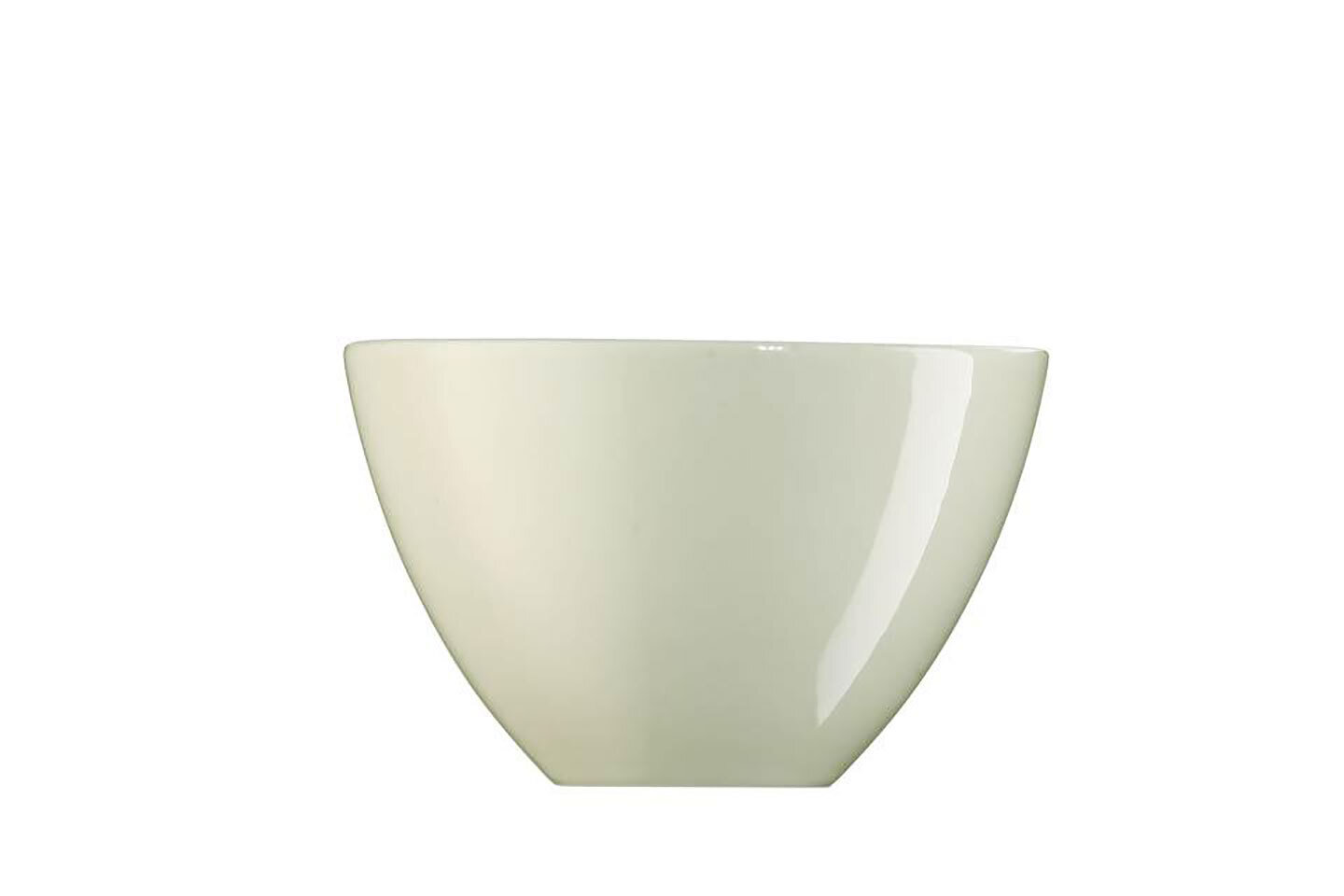 Arzberg Profi Silk Bowl Decoration Outside 5 in, MPN: 49600-670170-13376, UPC: 790955974715