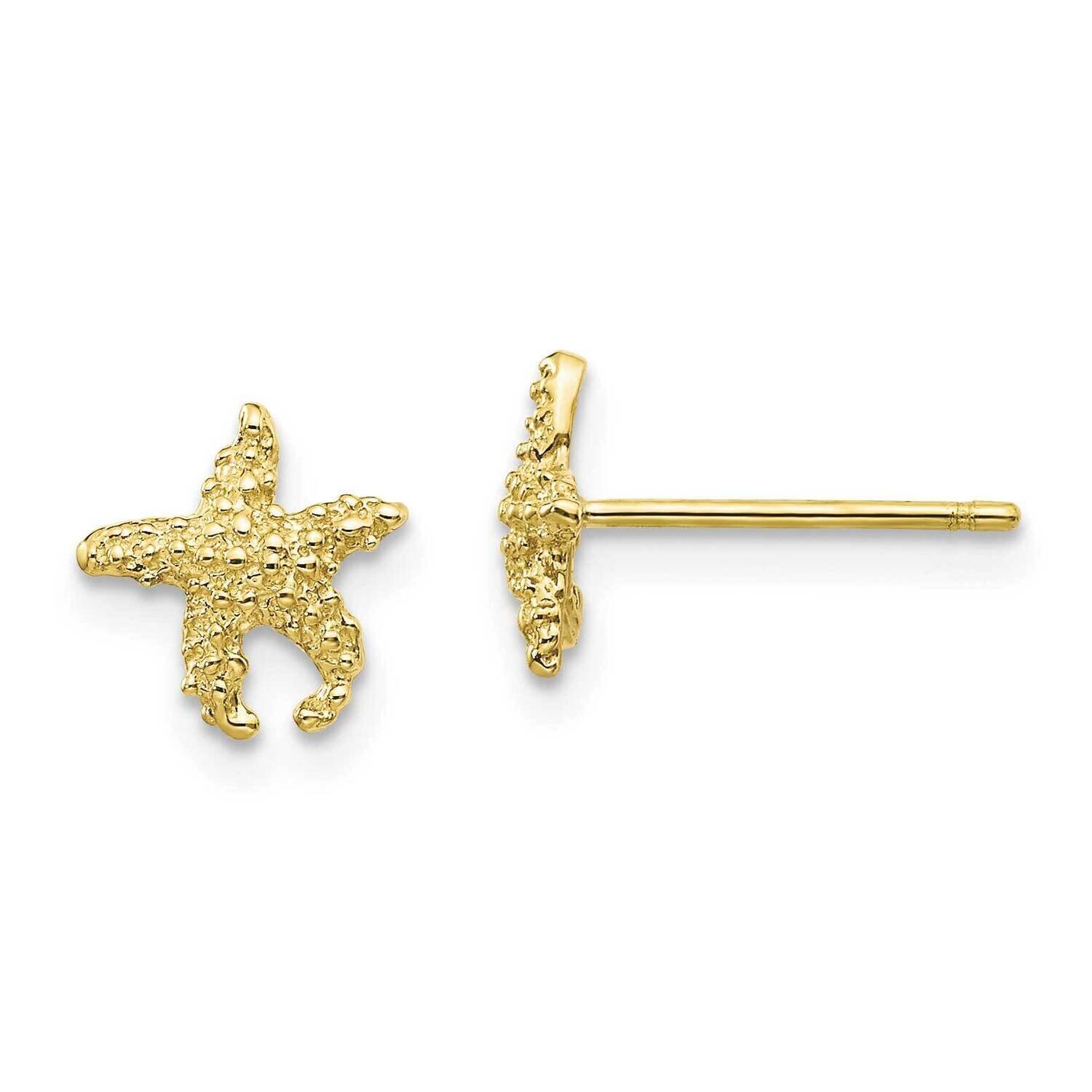 Textured Starfish Post Earrings 10k Gold Polished 10TM765, MPN: 10TM765, 191101566943