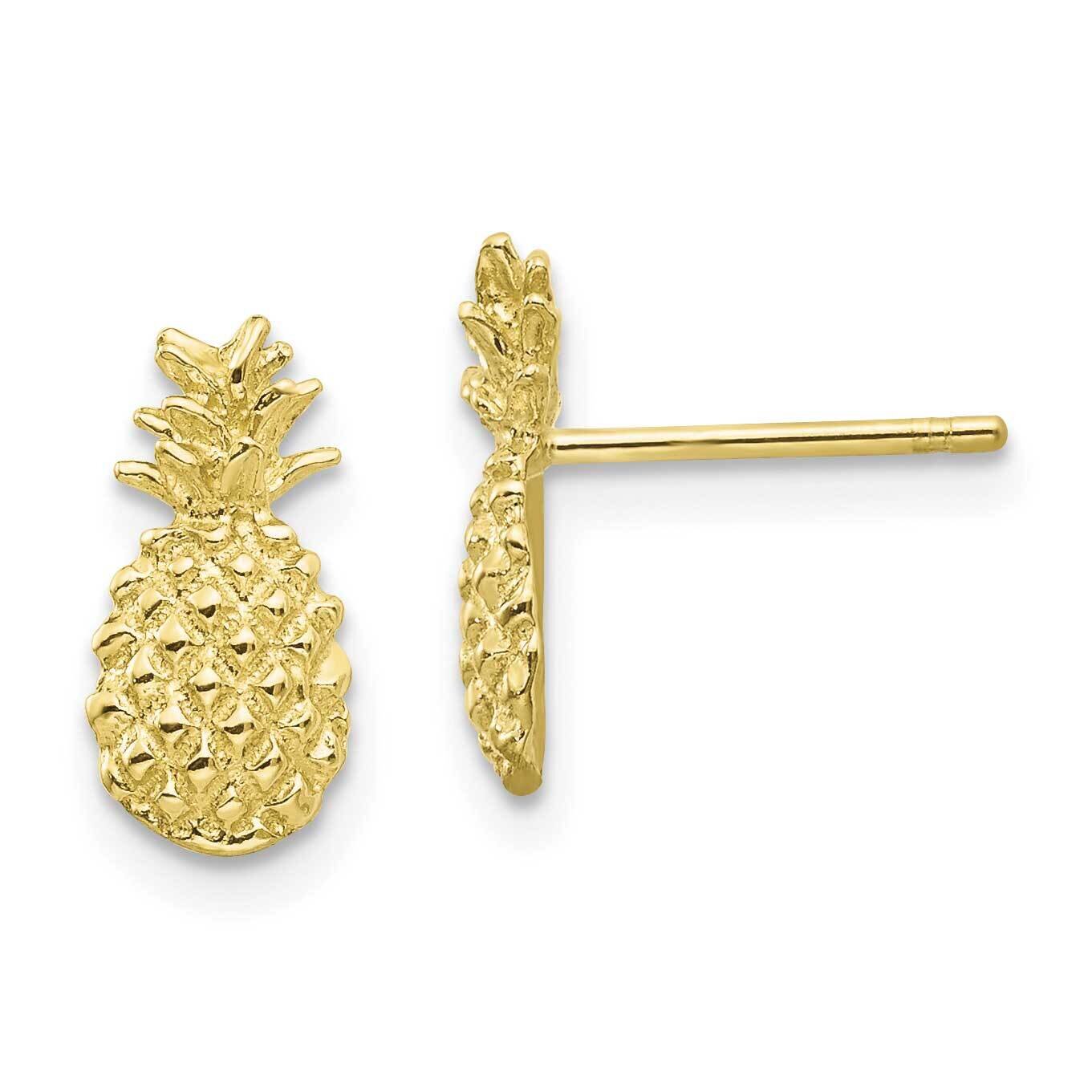 Textured Pineapple Post Earrings 10k Gold Polished 10TM773