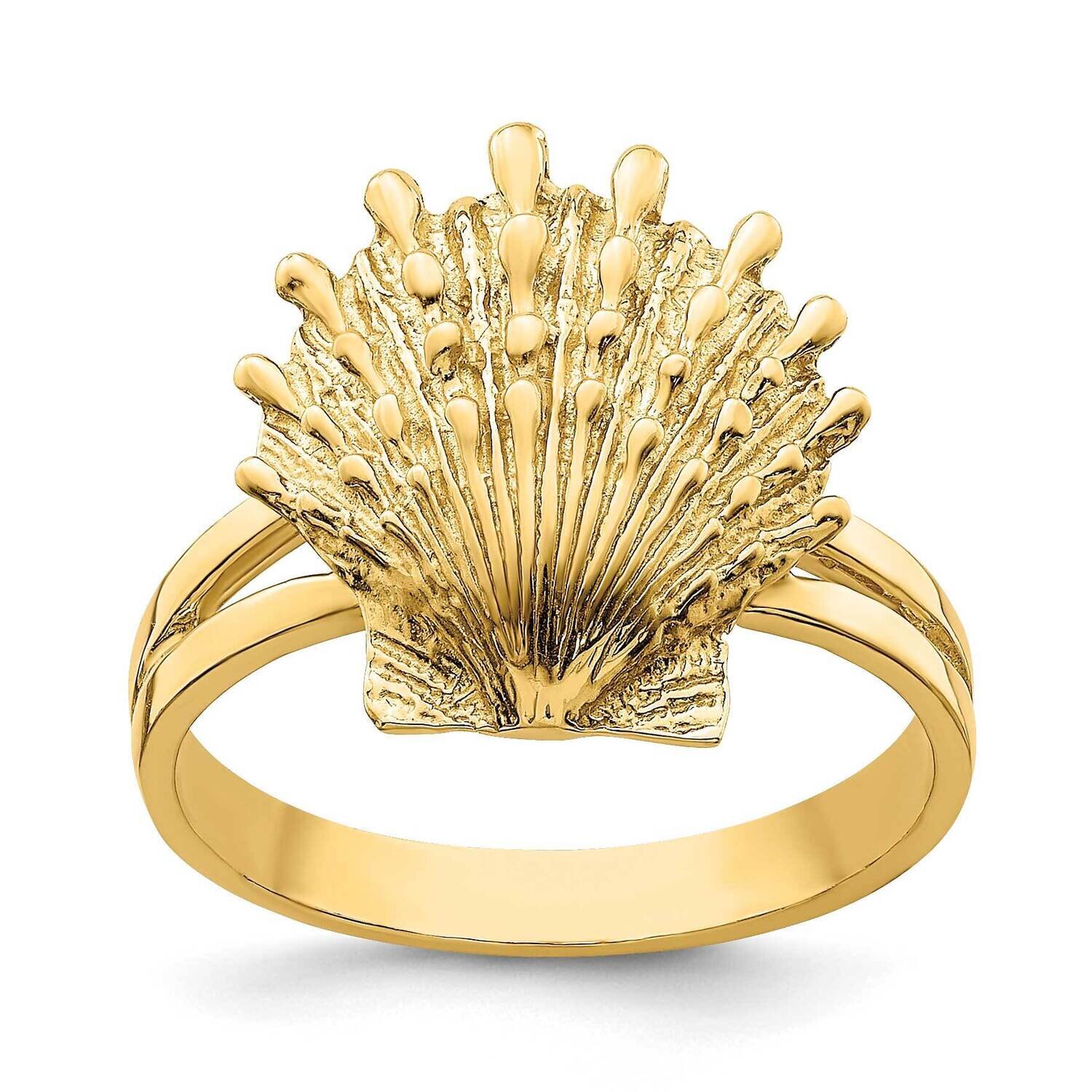 Lion'S Paw Shell Ring 14k Gold R678