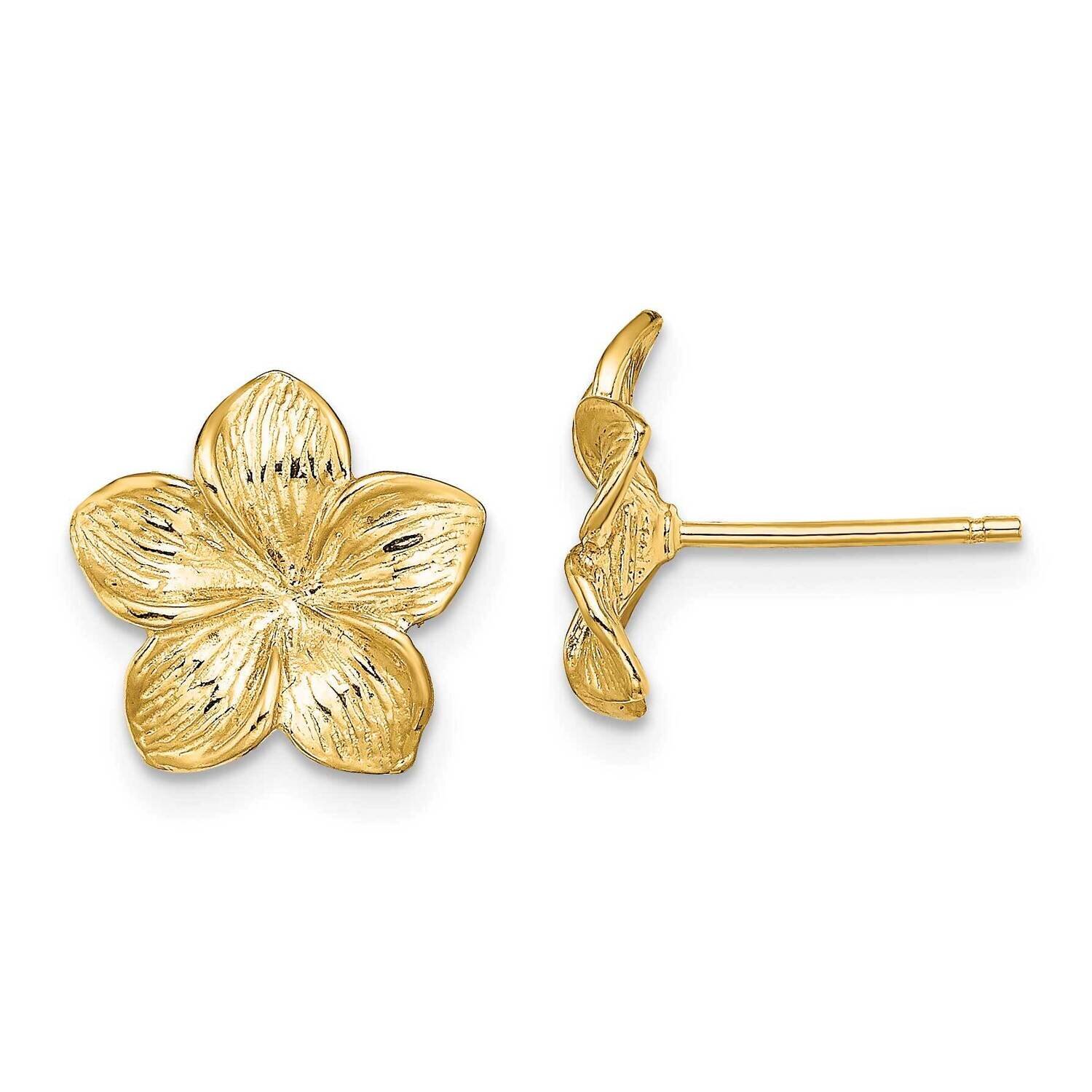 Plumeria Flower Post Earrings 14k Gold TE723