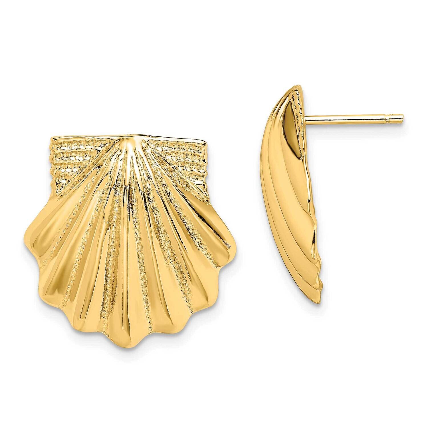 Scallop Shell Earrings 14k Gold TE785, MPN: TE785, 637218038800
