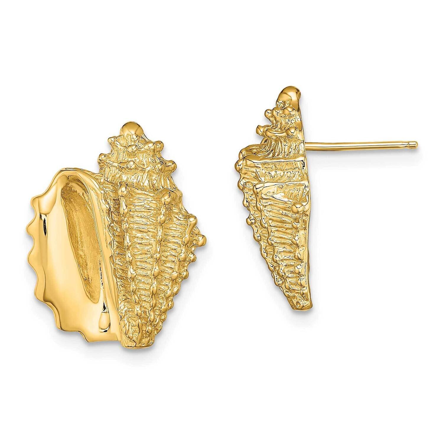 Conch Shell Post Earrings 14k Gold 2-D TE822
