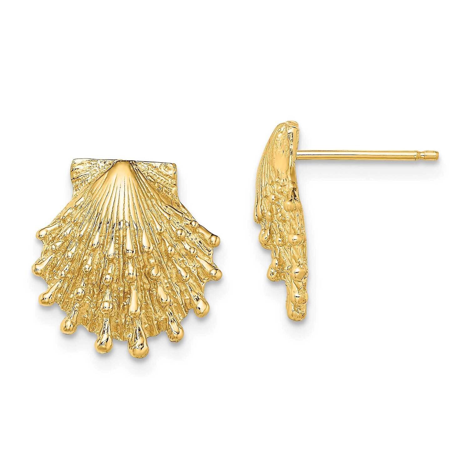 Lion'S Paw Shell Post Earrings 14k Gold TE831