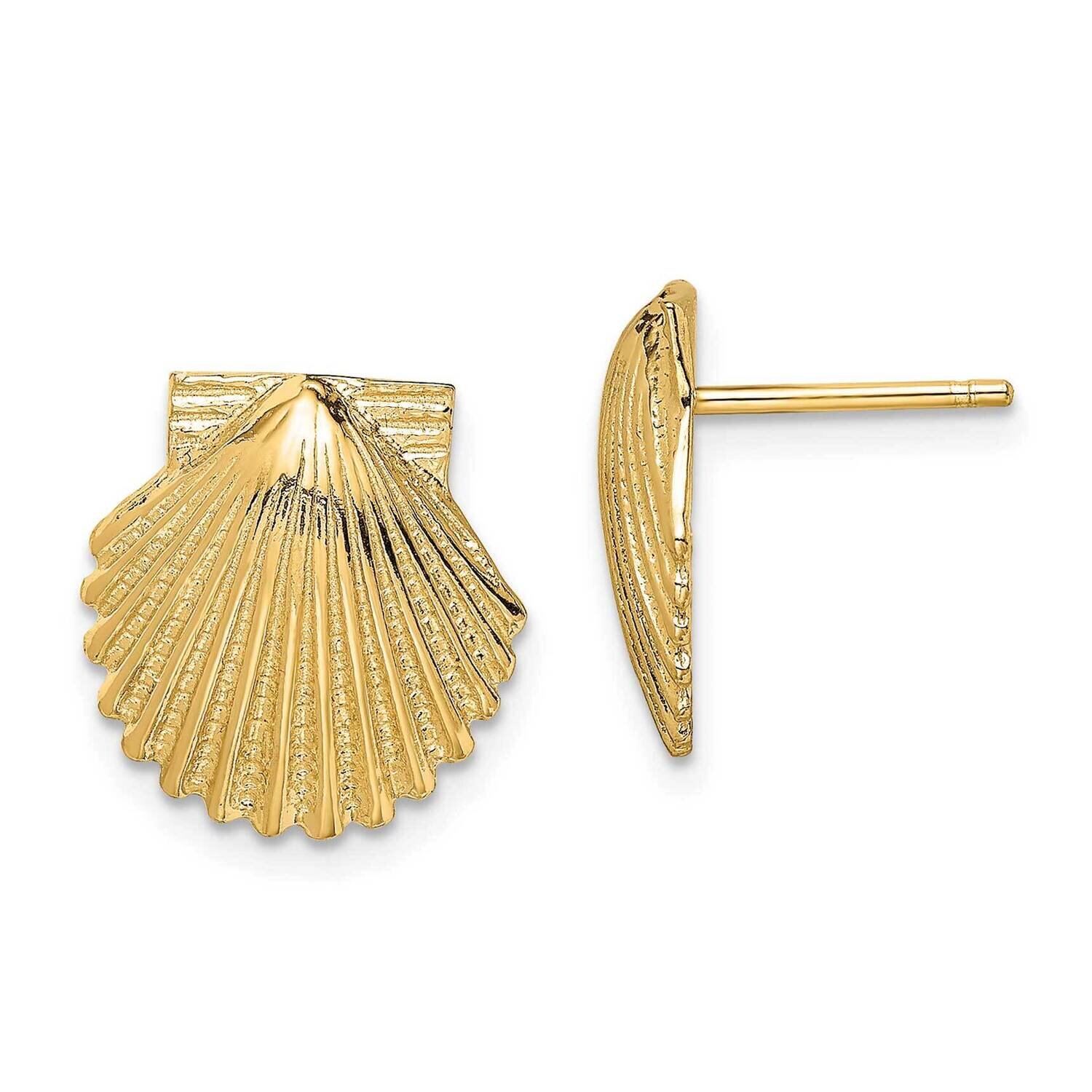 Polished Scallop Shell Post Earrings 14k Gold 2-D TE839
