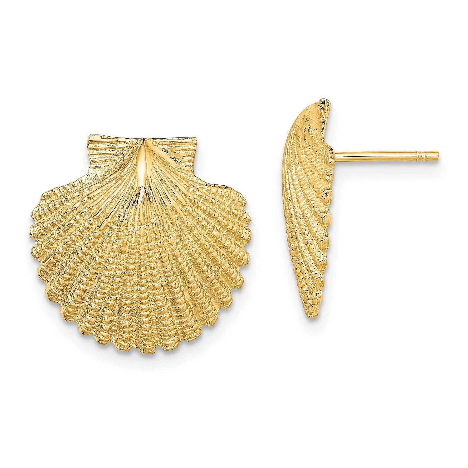 Textured Scallop Shell Post Earrings 14k Gold 2-D TE840