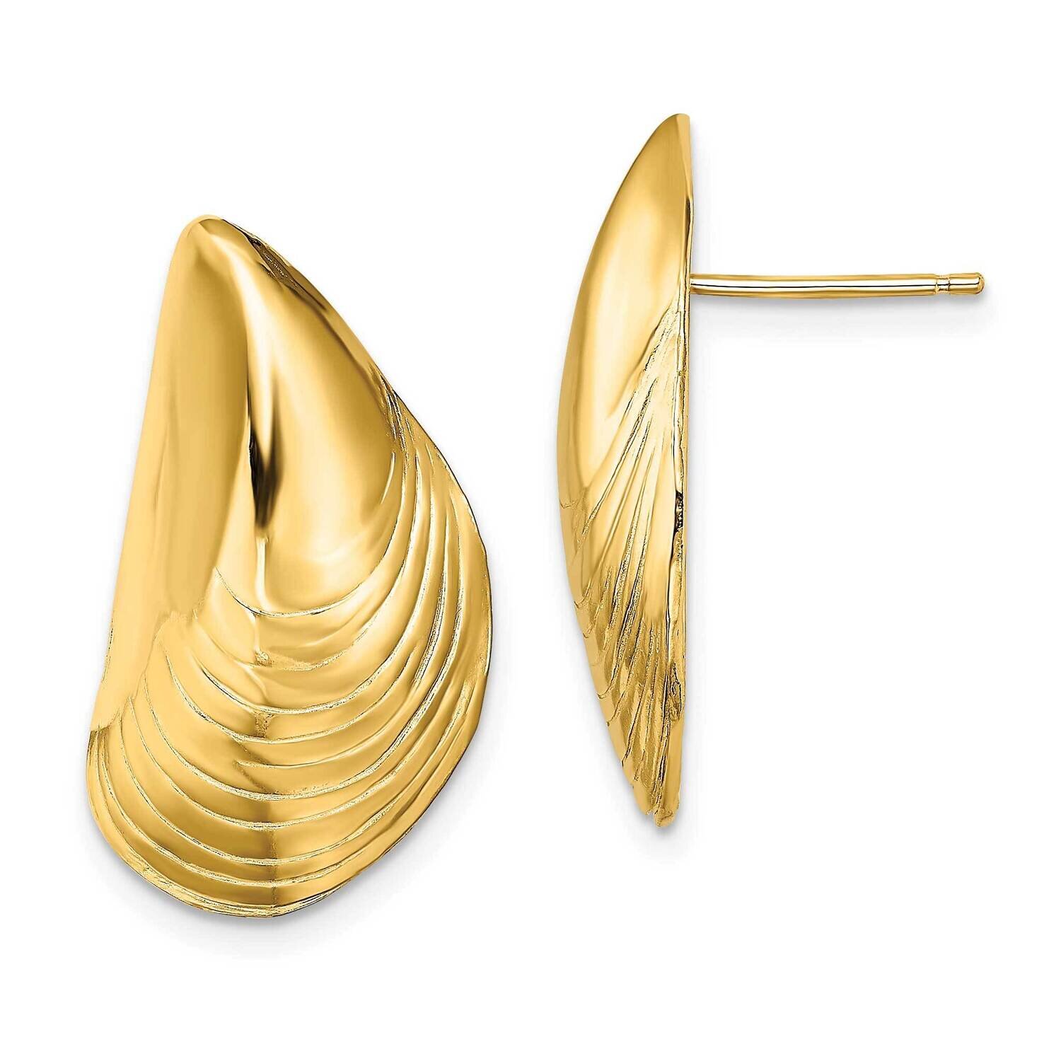 Mussel Shell Post Earrings 14k Gold Polished TE852