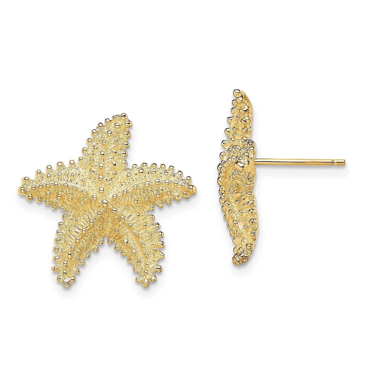 Beaded Starfish Post Earrings 14k Gold Textured TE869, MPN: TE869, 637218130351