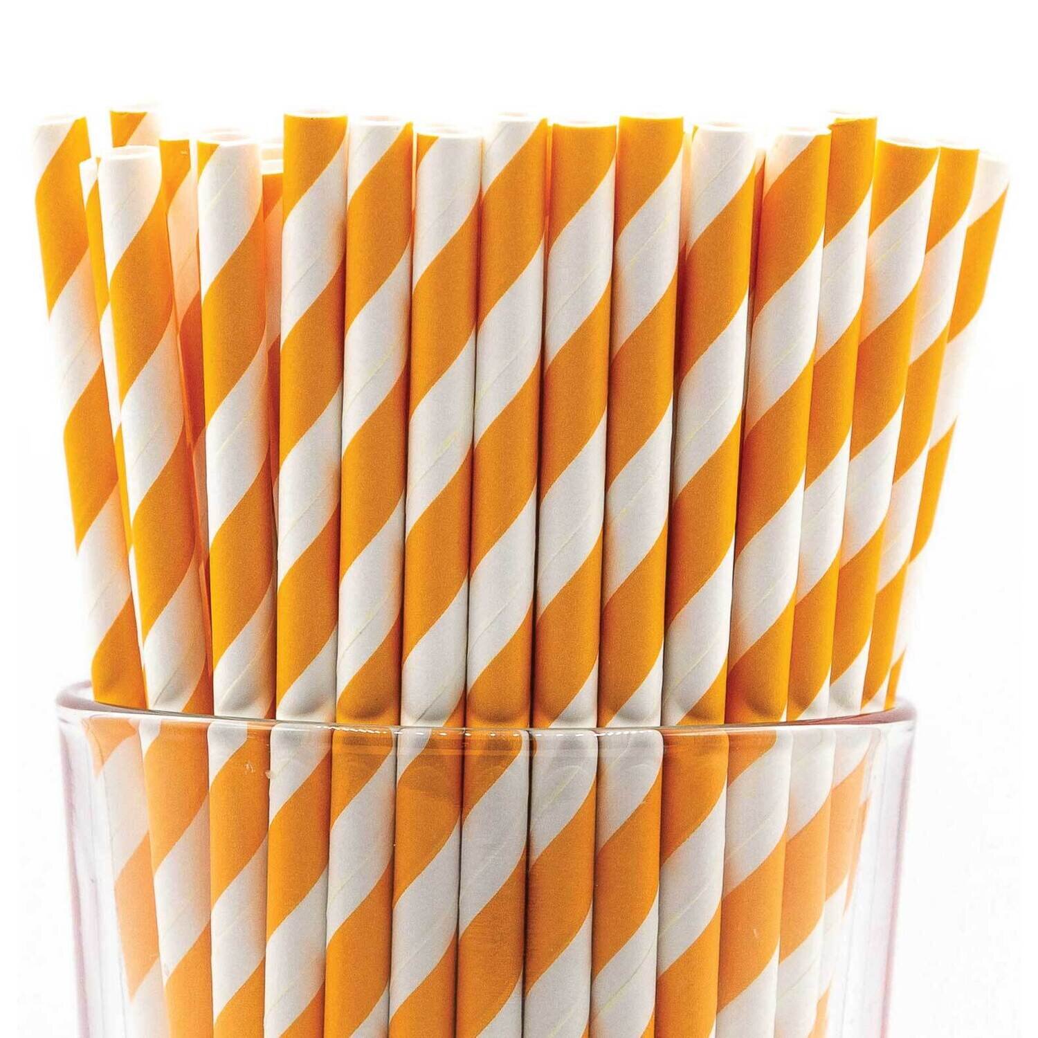 Pack of 150 Orange Wide Stripe Bio-degradable Paper Straws GM22630