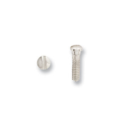 Replacement screw Silver Plated BW4854