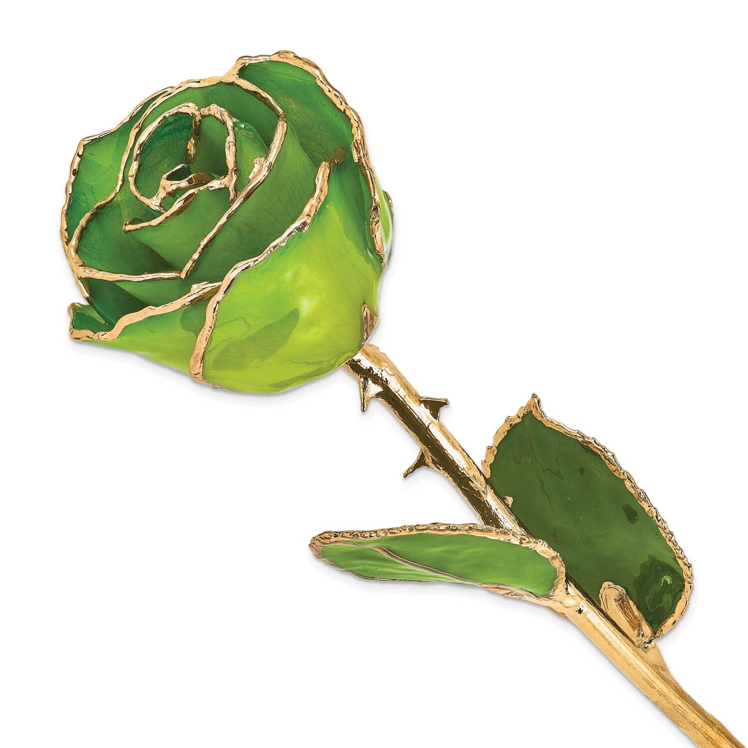 Apple Green Rose Lacquer Dipped Gold Trim GM22711