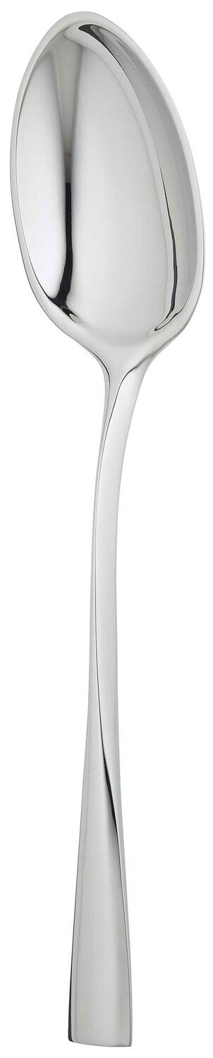 Ercuis Chorus Serving Or Salad Serving Spoon Stainless Steel F660060-41