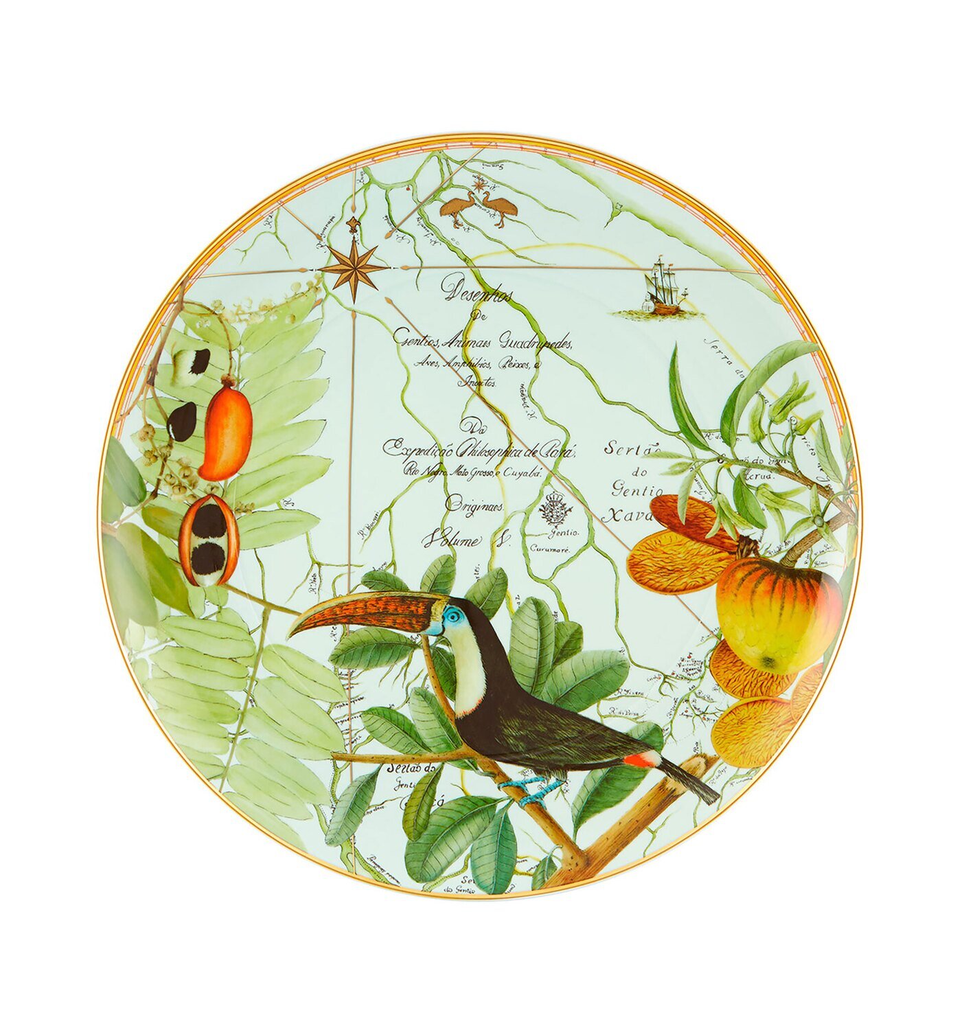 Vista Alegre Amazonia Plate Xl 21133610, MPN: 21133610, 5605414016163