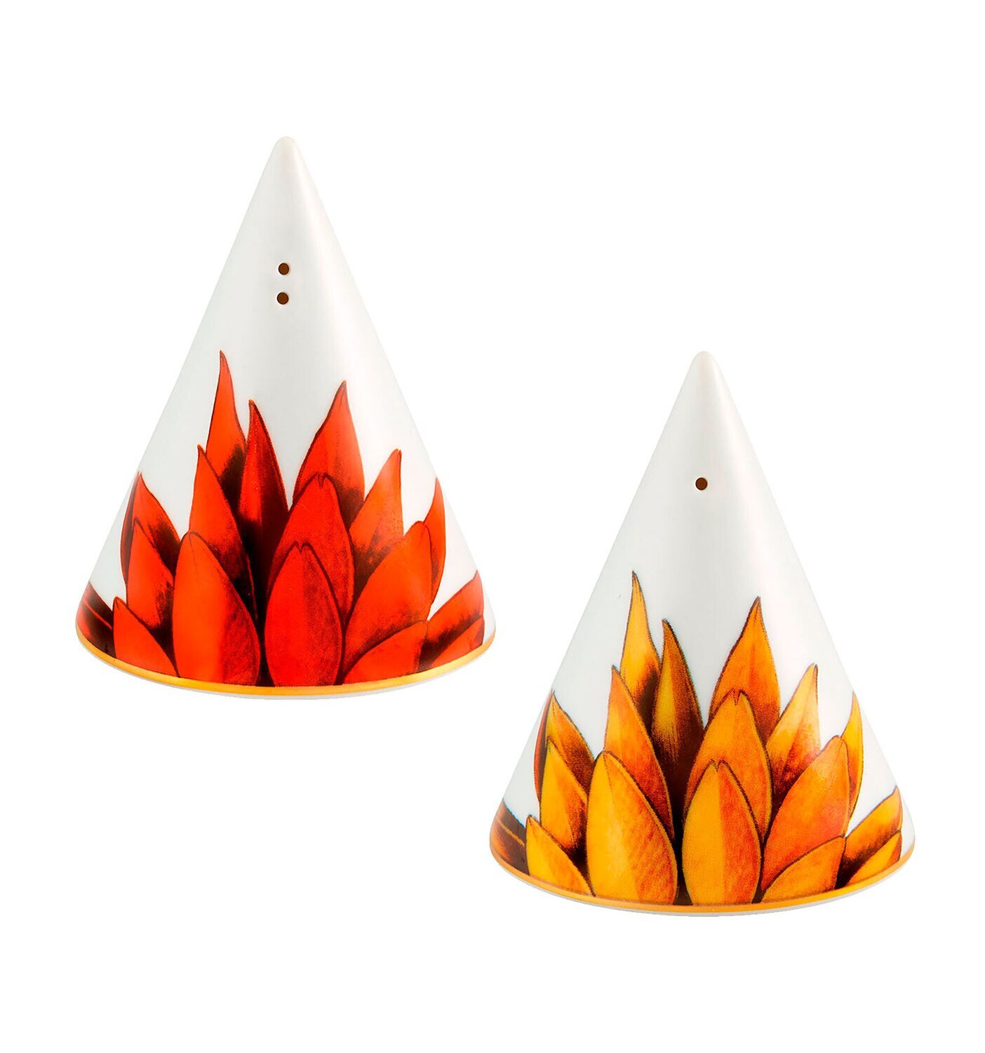 Vista Alegre Amazonia Set Salt Pepper Set 21133611, MPN: 21133611, 5605414016170