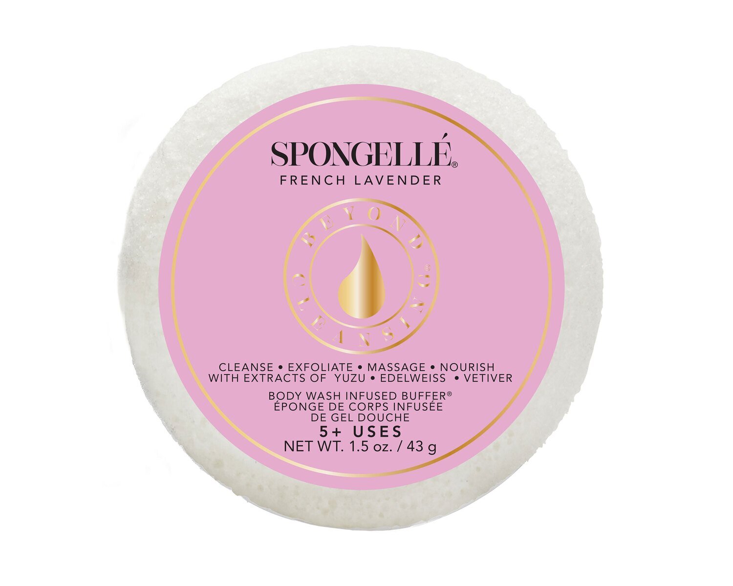 Spongelle Spongette French Lavender Pack of 12 AST-SPGFL