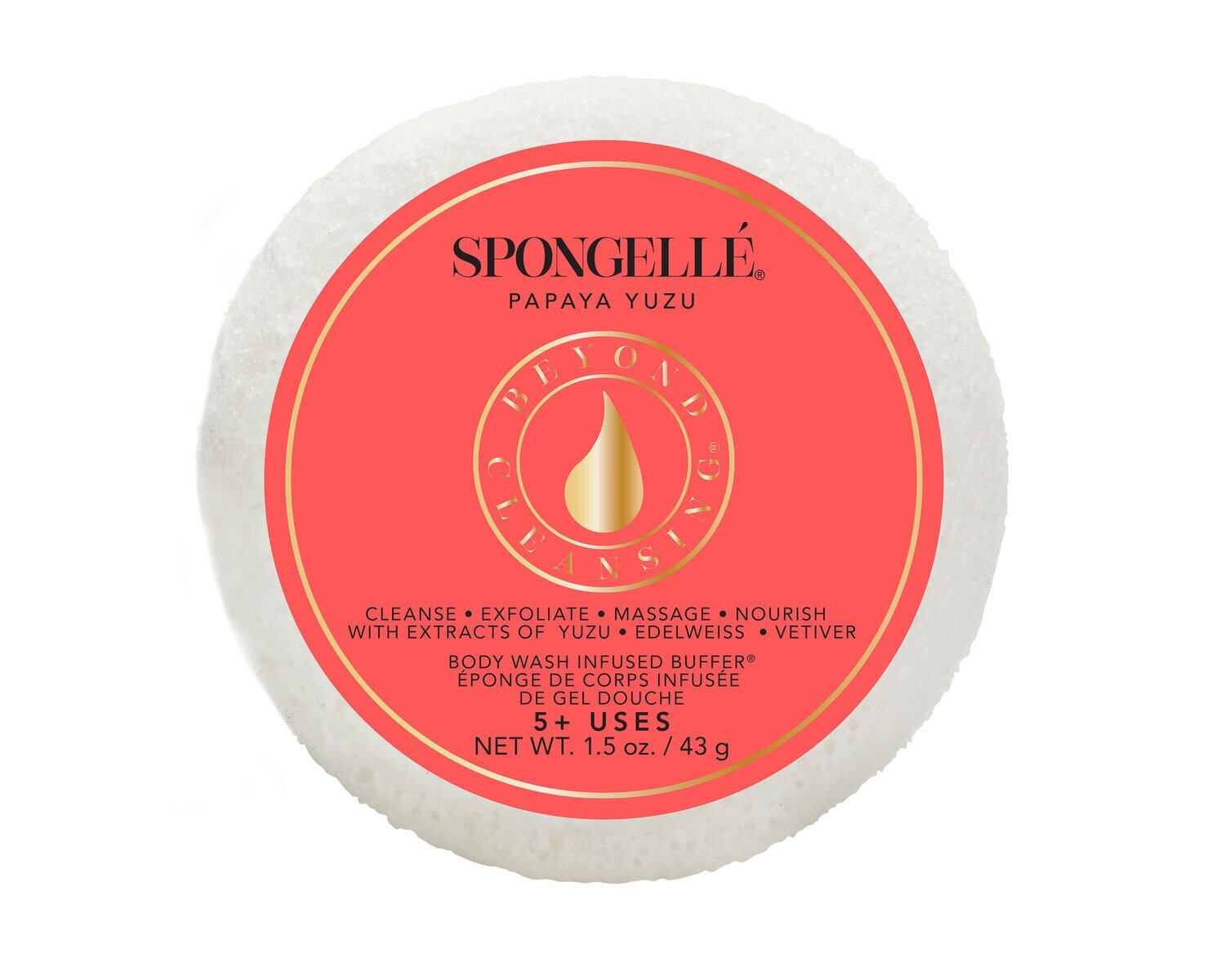 Spongelle Spongette Papaya Yuzu Pack of 12 AST-SPGPY