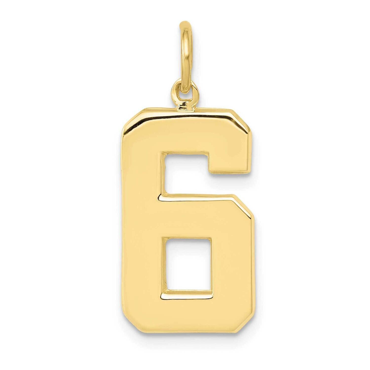 Polished Number 6 Charm 10k Gold Casted Large 10LP06, MPN: 10LP06,