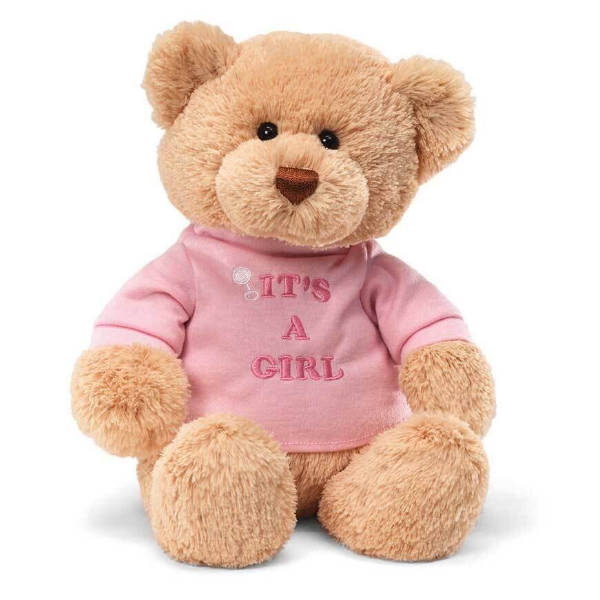 Gund Its A Girl T-Shirt Teddy Bear GM18811