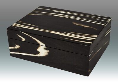 Tizo Black with Ivory Waves Zebra Box, MPN: FS982BKBX,