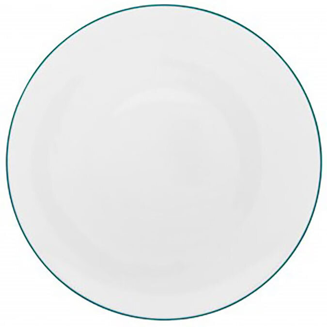 Raynaud Monceau Couleurs Dinner Plate 0354-37-113029