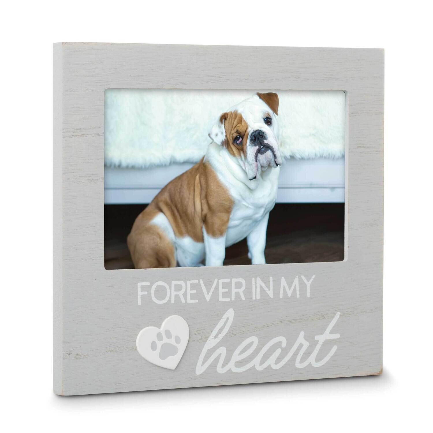 Grey Forever in My Heart Pet Memorial Remembrance Photo Frame GM20983