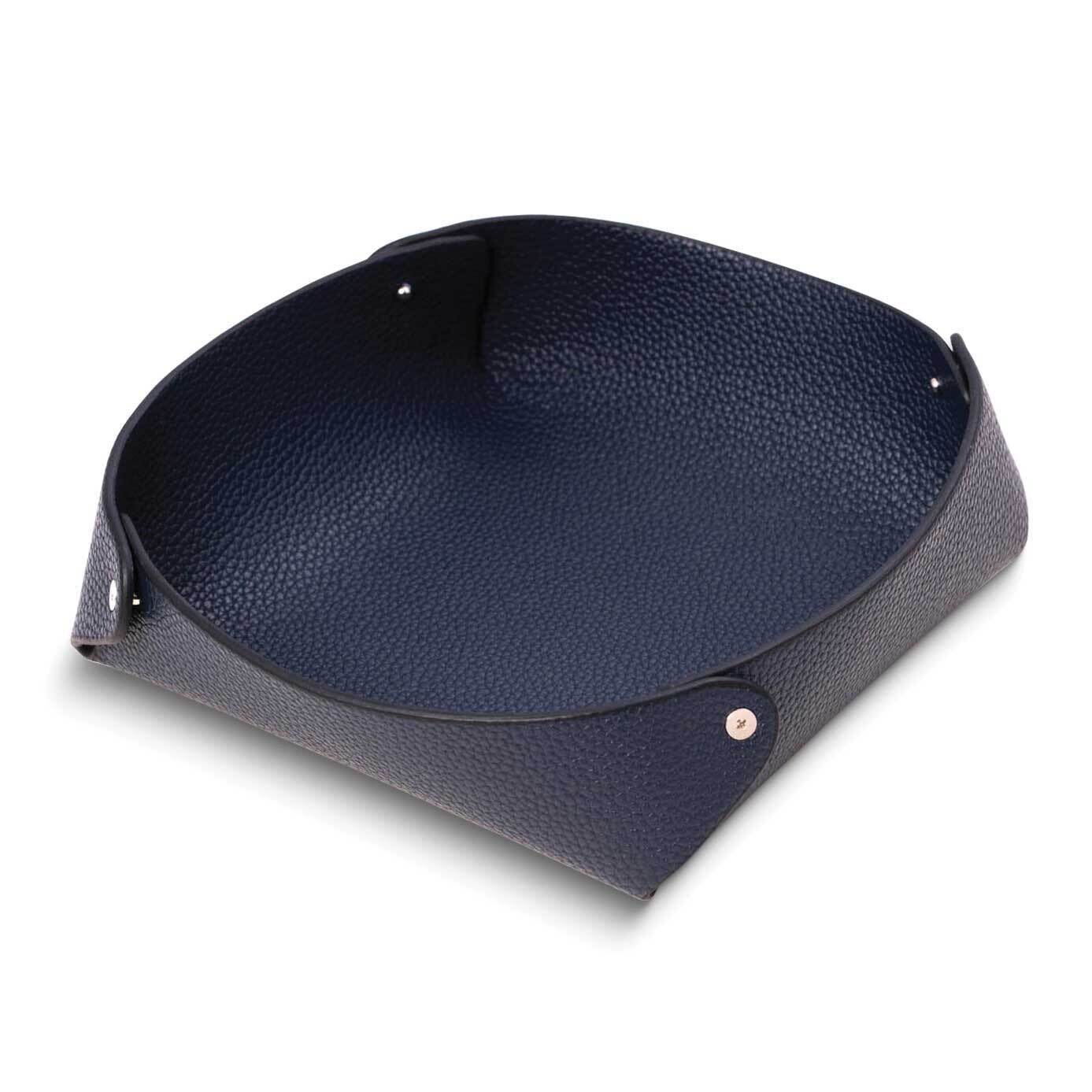 Blue Leather Snap Valet Tray GM24110BL