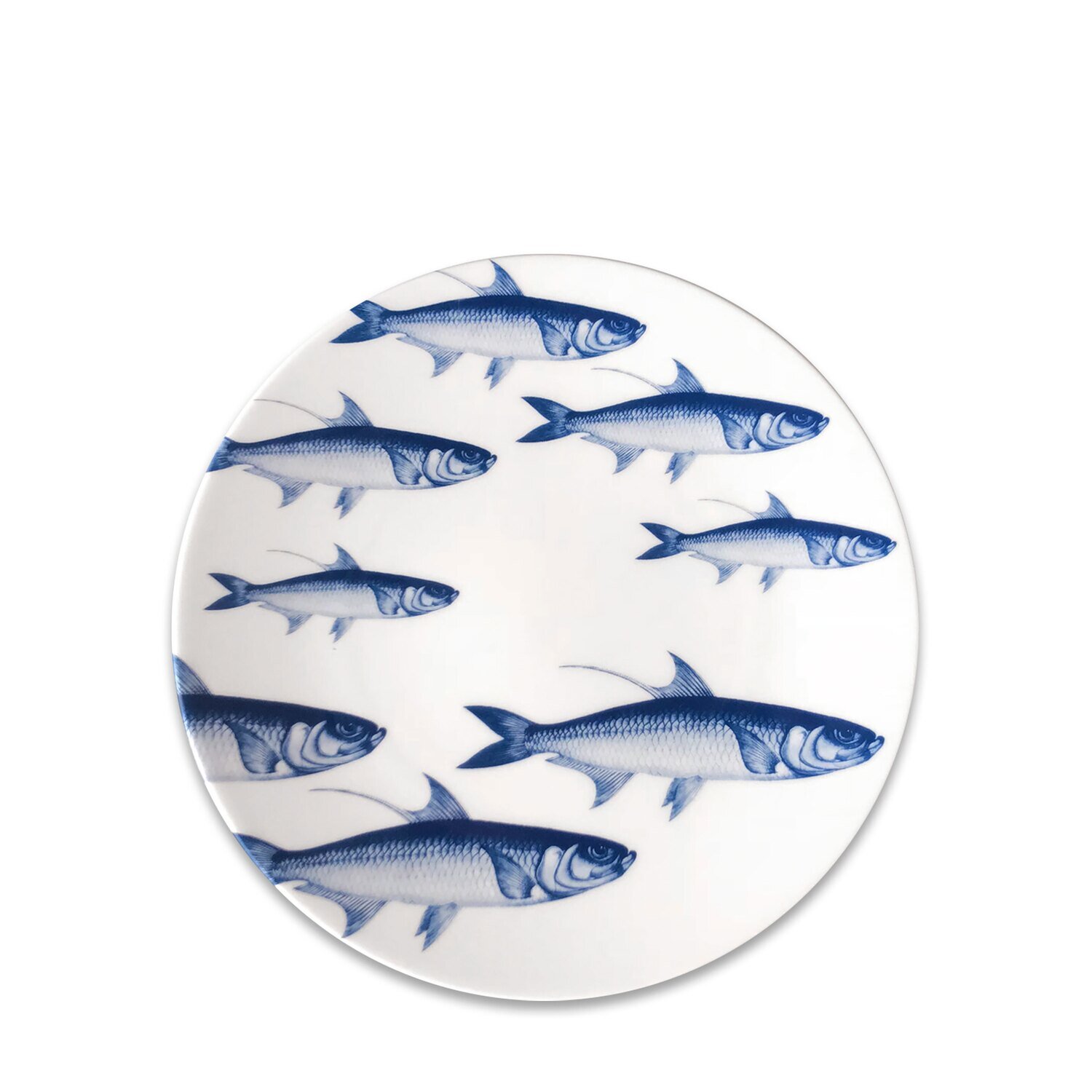 Caskata School of Fish Blue Coupe Salad Plate Blue SALA-420