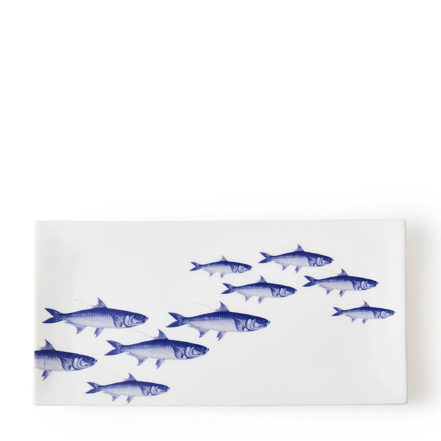 Caskata School of Fish Large Rectangle Blue RPLG-420, MPN: RPLG-420, 817325011112