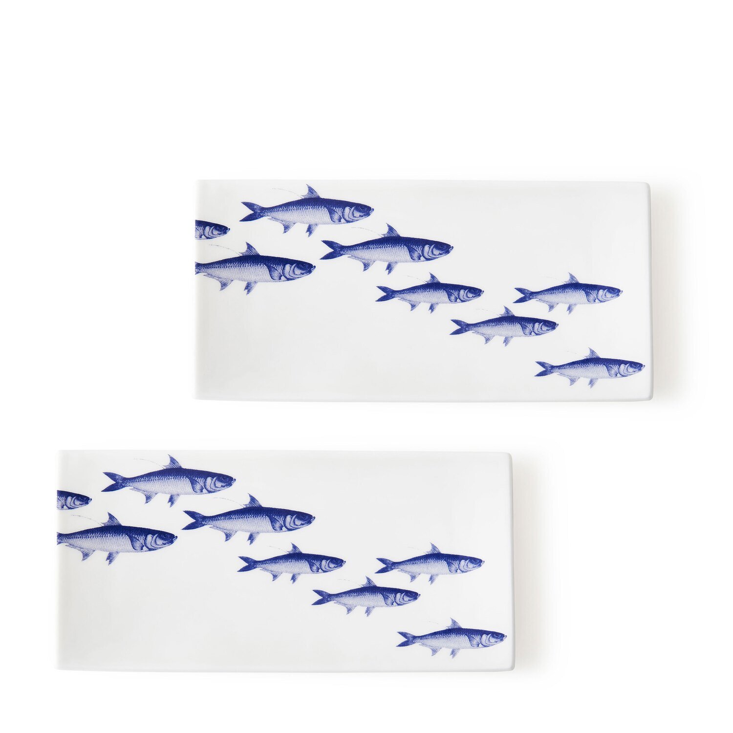 Caskata School of Fish Medium Rectangle Set of 2 Blue RPMD-420