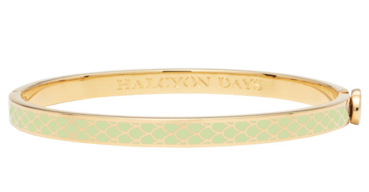 Halcyon Days 6mm Salamander Meadow Gold Hinged Bangle Bracelet HBSSA3906G, MPN: HBSSA3906G,